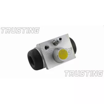 Cylindre de roue TRUSTING CF438