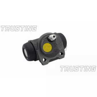 Cylindre de roue TRUSTING CF571