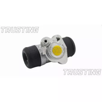Cylindre de roue TRUSTING CF580