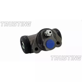 Cylindre de roue TRUSTING CF593