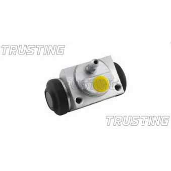 Cylindre de roue TRUSTING CF829