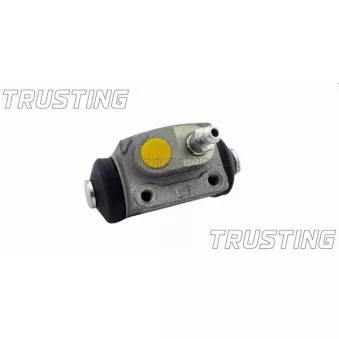 Cylindre de roue TRUSTING CF859