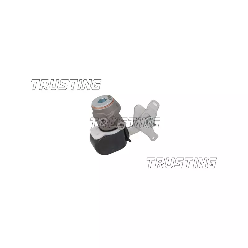 Régulateur de freinage TRUSTING CT049