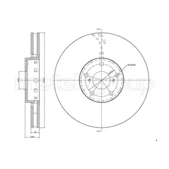 Disque de frein arrière gauche TRUSTING DF1032