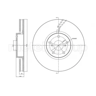 Disque de frein arrière droit TRUSTING DF1033