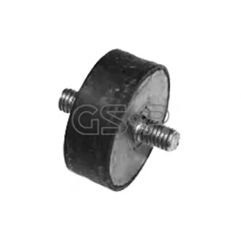 Suspension, radiateur GSP