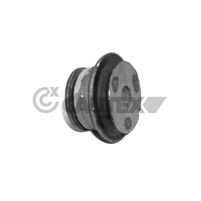 Suspension, corps de l'essieu CAUTEX 010760