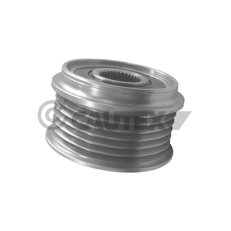Poulie roue libre, alternateur CAUTEX 010963
