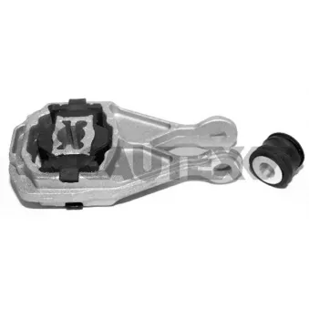 Support moteur CAUTEX 011189