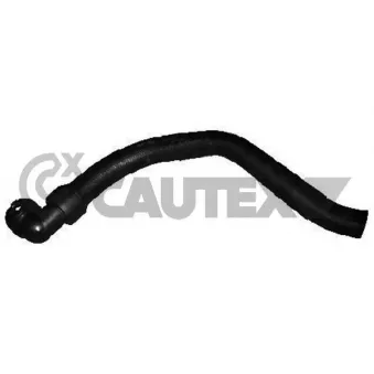 Durite de radiateur CAUTEX 011324
