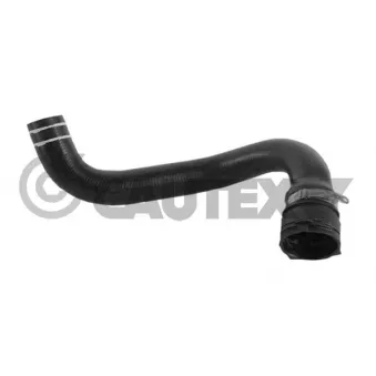 Durite de radiateur CAUTEX 011334