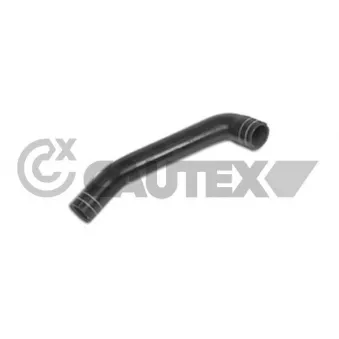 Durite de radiateur CAUTEX 011351