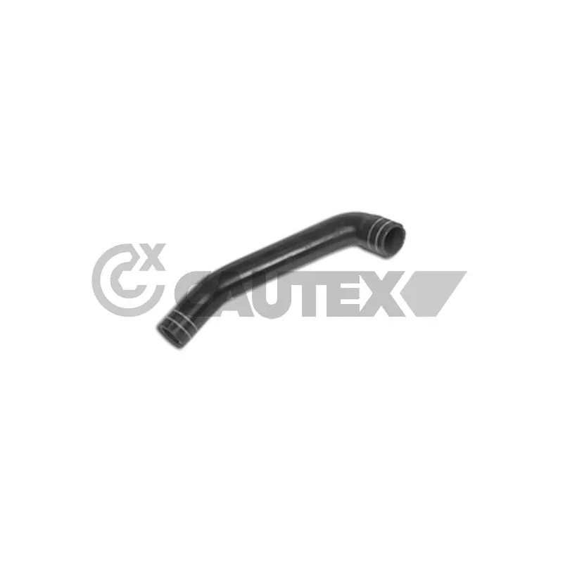 Durite de radiateur CAUTEX 011351