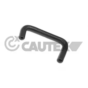 Durite de radiateur CAUTEX 011368