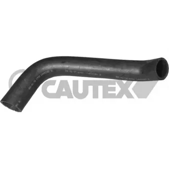 Durite de radiateur CAUTEX 016022