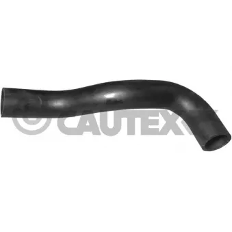 Durite de radiateur CAUTEX 016202