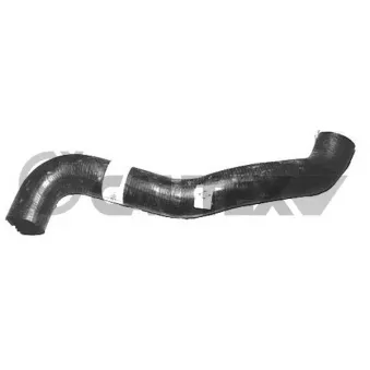 Durite de radiateur CAUTEX 016235