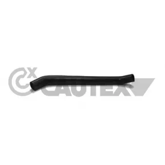Durite de radiateur CAUTEX 016291