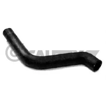Durite de radiateur CAUTEX 016299