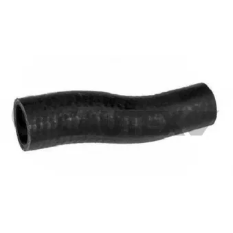 Durite de radiateur CAUTEX 016335