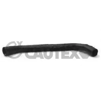 Durite de radiateur CAUTEX 016343