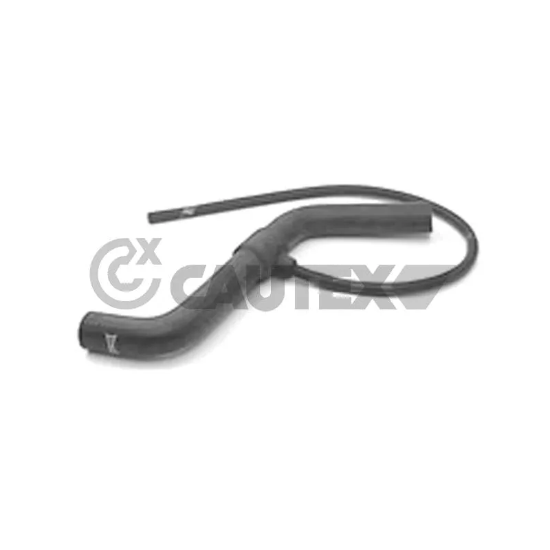 Durite de radiateur CAUTEX 016747
