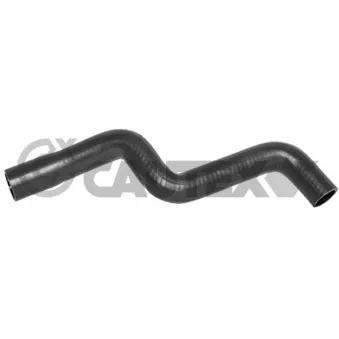 Durite de radiateur CAUTEX 016759