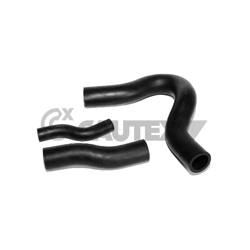 Tuyauterie, vanne EGR CAUTEX 016763