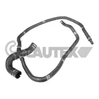 Durite de radiateur CAUTEX 016769