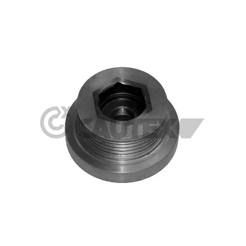 Poulie roue libre, alternateur CAUTEX 020956