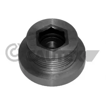 Poulie roue libre, alternateur CAUTEX 020958
