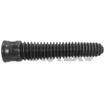Bouchon de protection/soufflet, amortisseur CAUTEX 021112