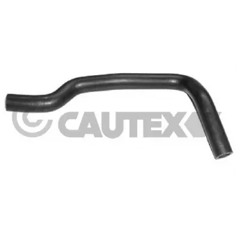 Durite de radiateur CAUTEX 021134