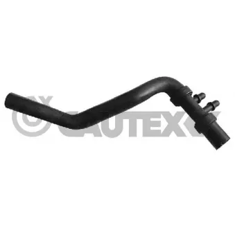 Durite de radiateur CAUTEX 021162