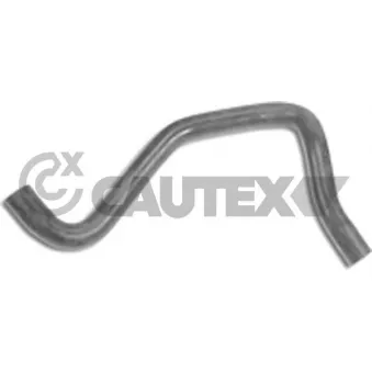 Durite de radiateur CAUTEX 021199