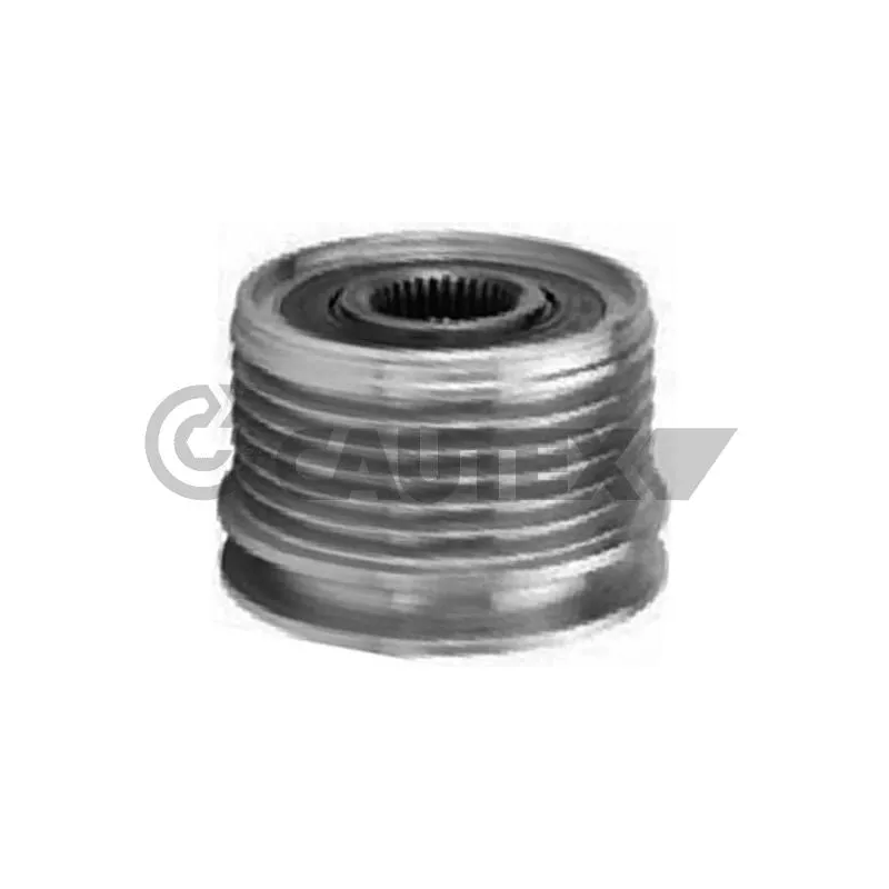 Poulie roue libre, alternateur CAUTEX 021278