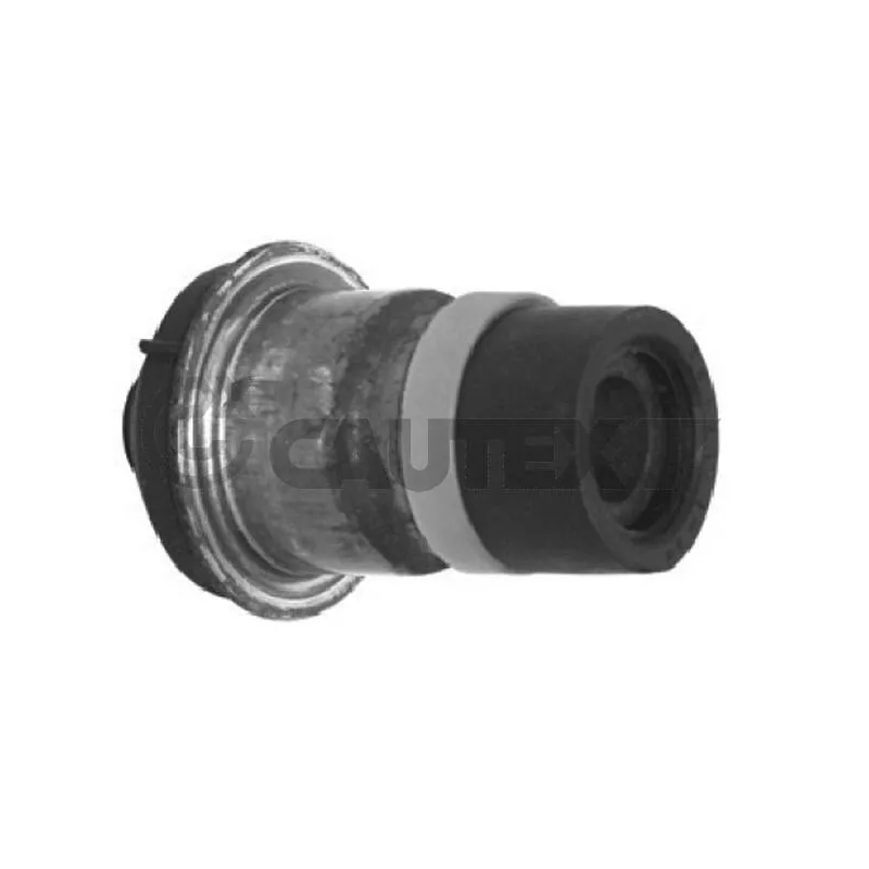 Suspension, support d'essieu CAUTEX 021334