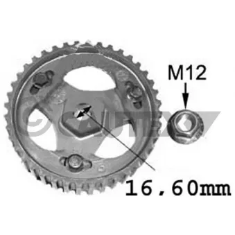 Pignon, pompe d'injection CAUTEX 021516