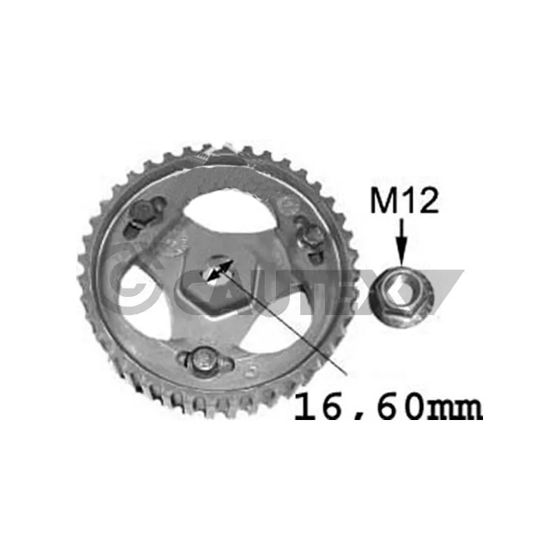 Pignon, pompe d'injection CAUTEX 021516