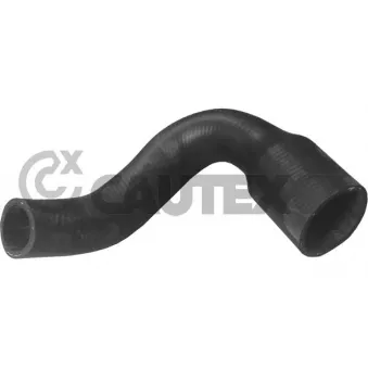 Durite de radiateur CAUTEX 026031