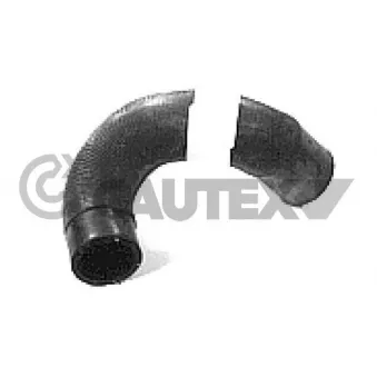 Durite de radiateur CAUTEX 026052