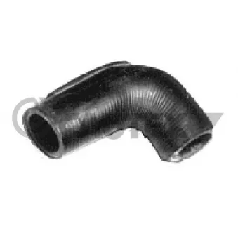 Durite de radiateur CAUTEX 026053