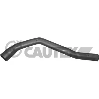 Durite de radiateur CAUTEX 026176