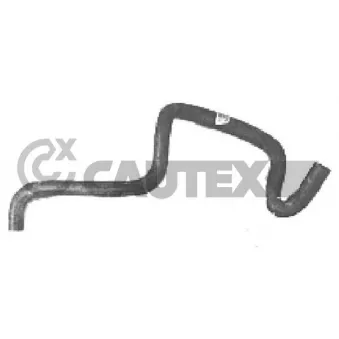 Durite de radiateur CAUTEX 026198