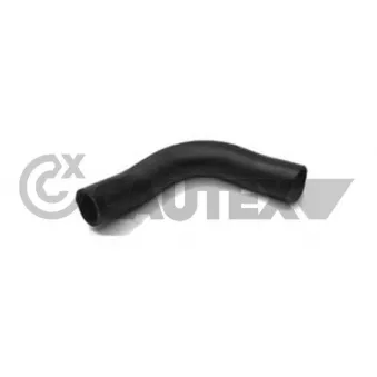 Durite de radiateur CAUTEX 026217