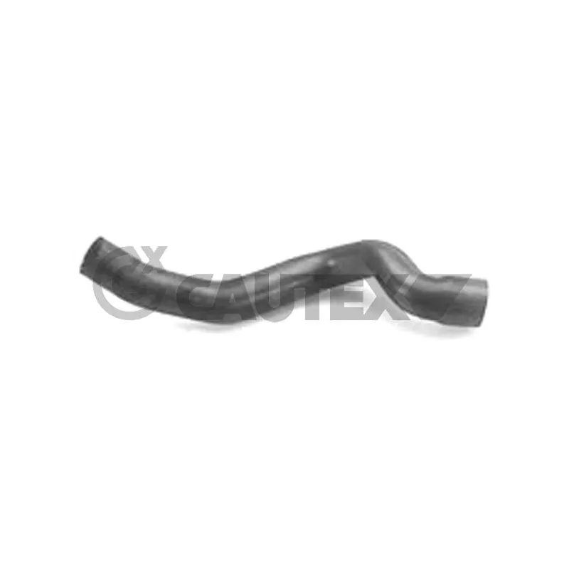 Durite de radiateur CAUTEX 026268