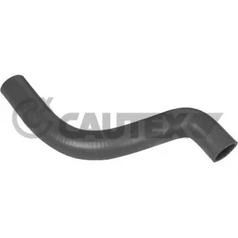 Durite de radiateur CAUTEX 026317