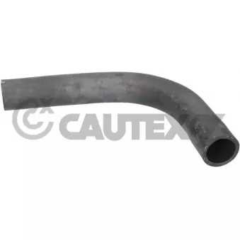 Durite de radiateur CAUTEX 026422