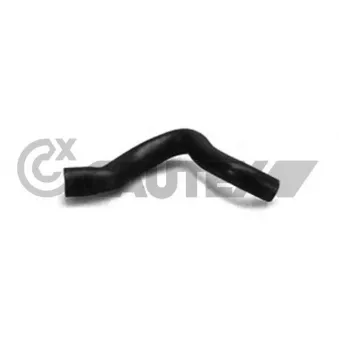 Durite de radiateur CAUTEX 026440