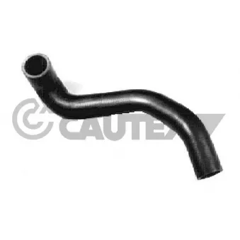 Durite de radiateur CAUTEX 026446